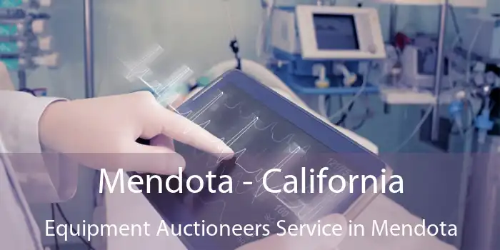 Mendota - California Equipment Auctioneers Service in Mendota