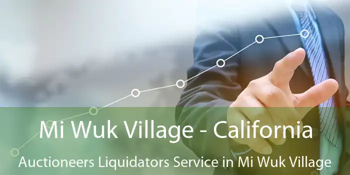 Mi Wuk Village - California Auctioneers Liquidators Service in Mi Wuk Village