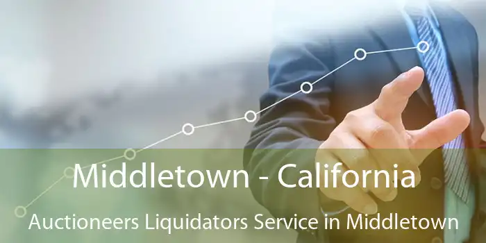 Middletown - California Auctioneers Liquidators Service in Middletown