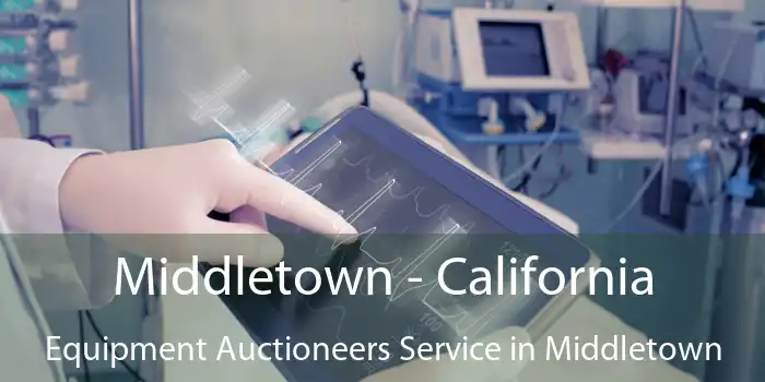 Middletown - California Equipment Auctioneers Service in Middletown