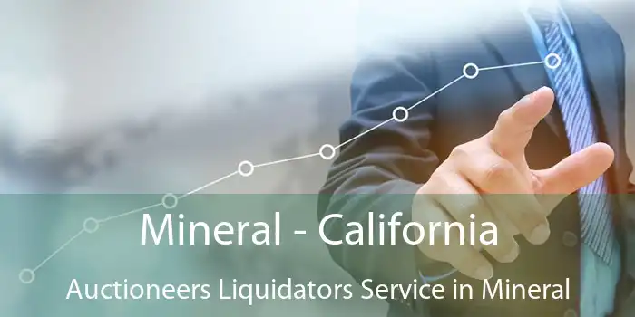 Mineral - California Auctioneers Liquidators Service in Mineral