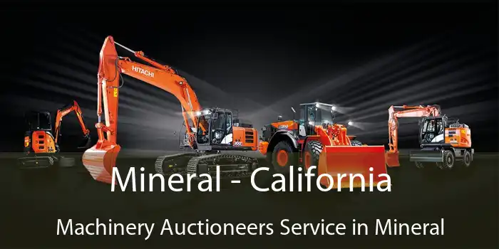 Mineral - California Machinery Auctioneers Service in Mineral