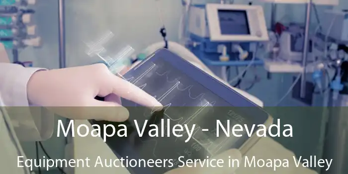 Moapa Valley - Nevada Equipment Auctioneers Service in Moapa Valley