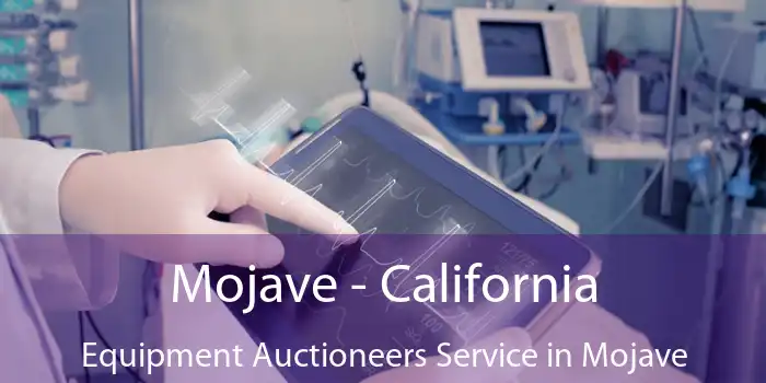 Mojave - California Equipment Auctioneers Service in Mojave