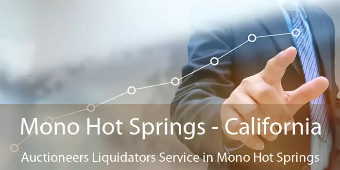 Mono Hot Springs - California Auctioneers Liquidators Service in Mono Hot Springs