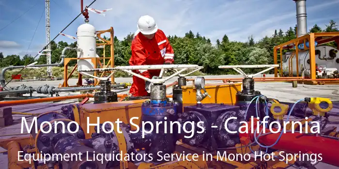 Mono Hot Springs - California Equipment Liquidators Service in Mono Hot Springs