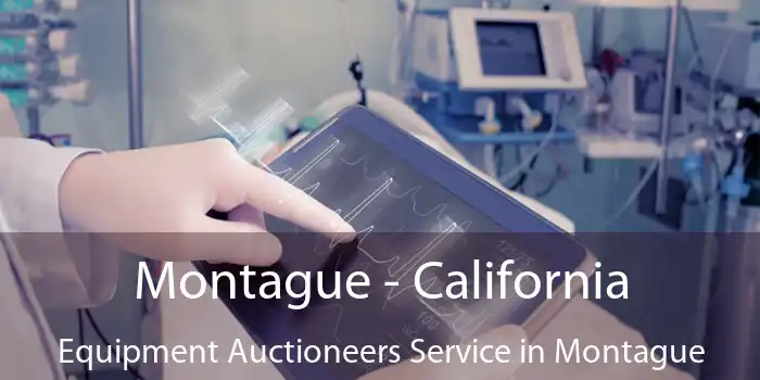 Montague - California Equipment Auctioneers Service in Montague