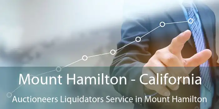 Mount Hamilton - California Auctioneers Liquidators Service in Mount Hamilton