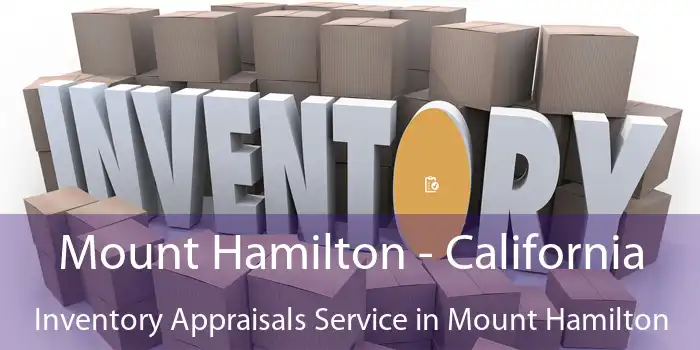 Mount Hamilton - California Inventory Appraisals Service in Mount Hamilton