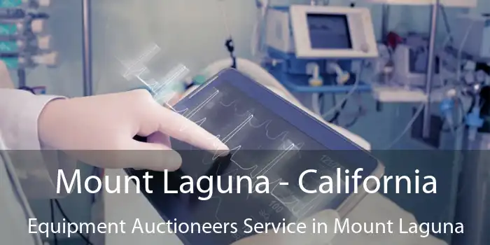 Mount Laguna - California Equipment Auctioneers Service in Mount Laguna