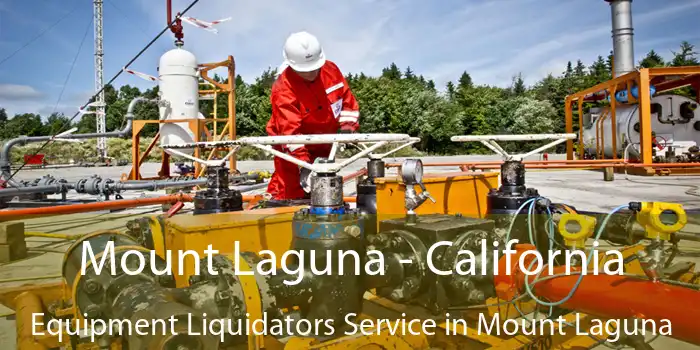 Mount Laguna - California Equipment Liquidators Service in Mount Laguna