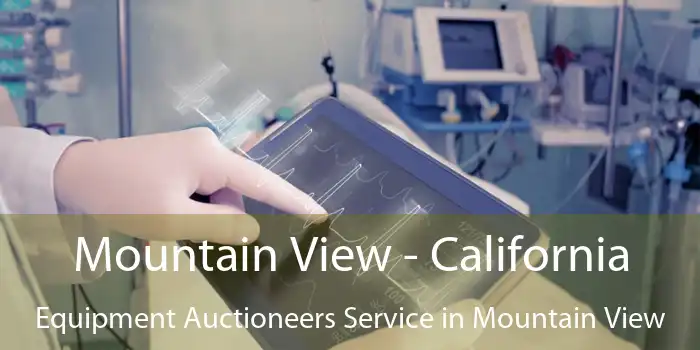 Mountain View - California Equipment Auctioneers Service in Mountain View