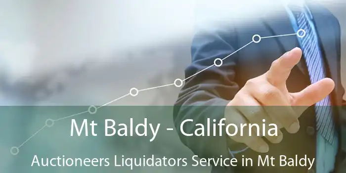 Mt Baldy - California Auctioneers Liquidators Service in Mt Baldy