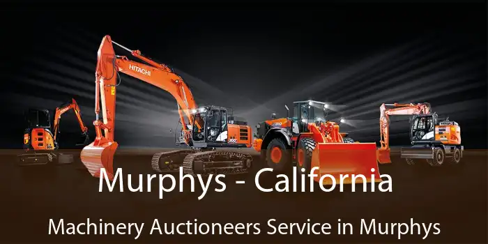 Murphys - California Machinery Auctioneers Service in Murphys