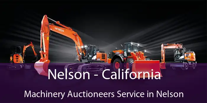 Nelson - California Machinery Auctioneers Service in Nelson