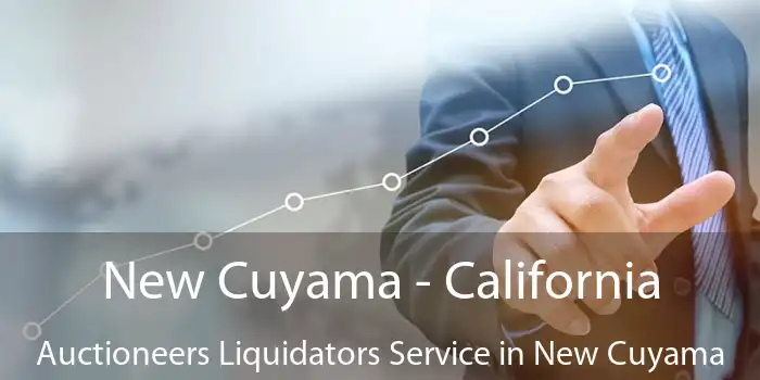 New Cuyama - California Auctioneers Liquidators Service in New Cuyama