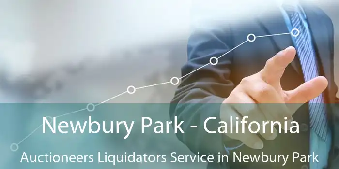 Newbury Park - California Auctioneers Liquidators Service in Newbury Park