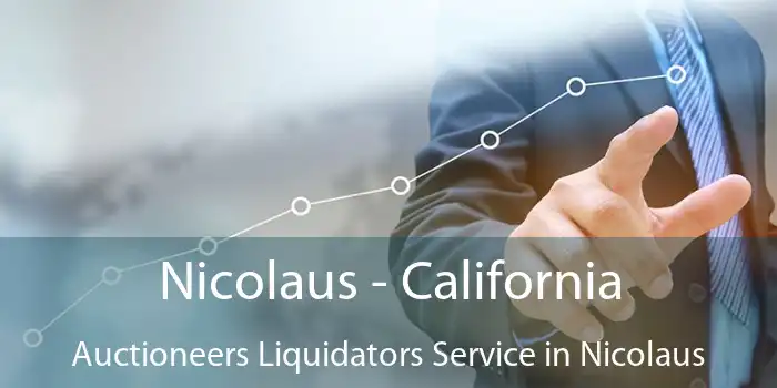 Nicolaus - California Auctioneers Liquidators Service in Nicolaus