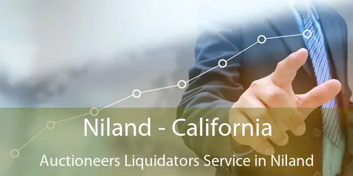 Niland - California Auctioneers Liquidators Service in Niland