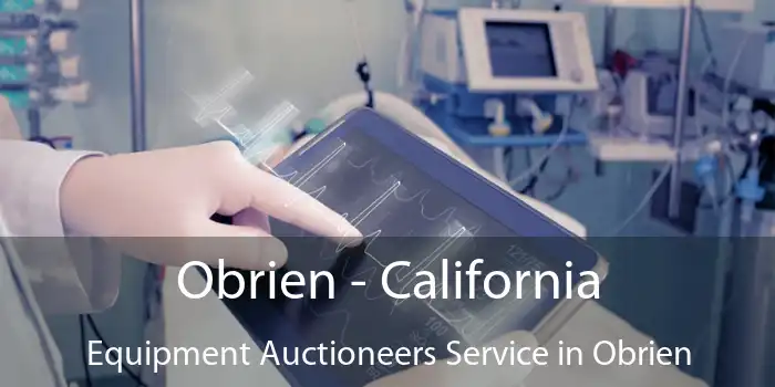 Obrien - California Equipment Auctioneers Service in Obrien