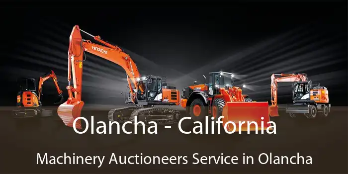 Olancha - California Machinery Auctioneers Service in Olancha