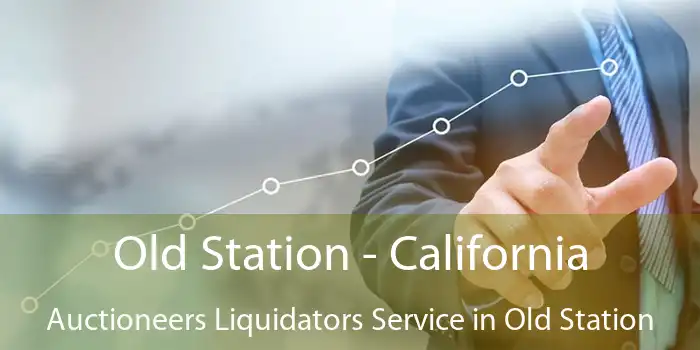 Old Station - California Auctioneers Liquidators Service in Old Station