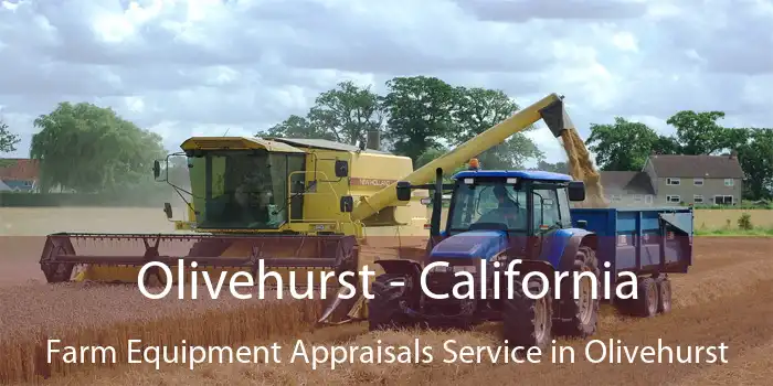 Olivehurst - California Farm Equipment Appraisals Service in Olivehurst