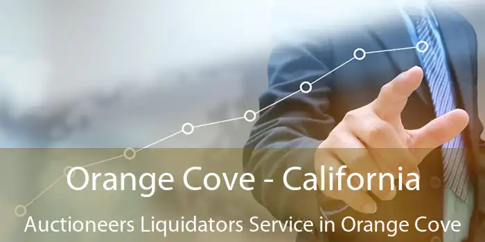 Orange Cove - California Auctioneers Liquidators Service in Orange Cove