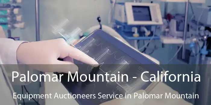 Palomar Mountain - California Equipment Auctioneers Service in Palomar Mountain