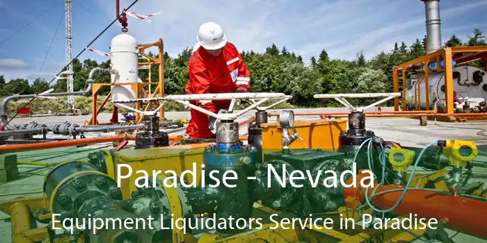 Paradise - Nevada Equipment Liquidators Service in Paradise