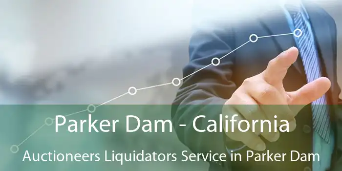 Parker Dam - California Auctioneers Liquidators Service in Parker Dam