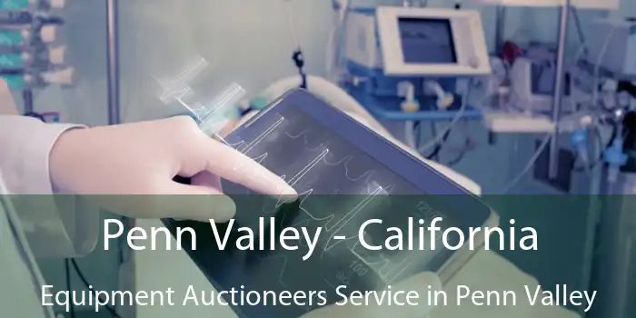 Penn Valley - California Equipment Auctioneers Service in Penn Valley