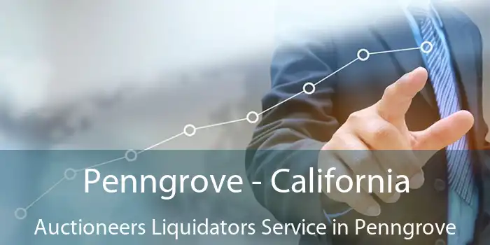 Penngrove - California Auctioneers Liquidators Service in Penngrove