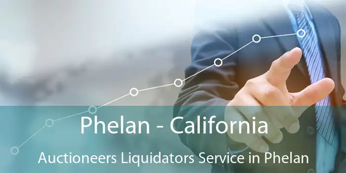 Phelan - California Auctioneers Liquidators Service in Phelan