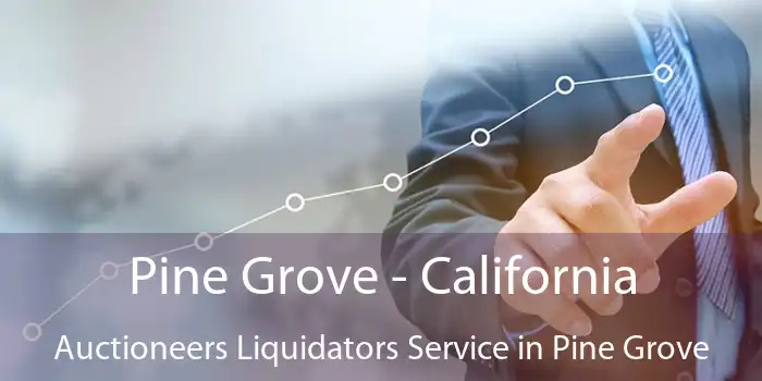 Pine Grove - California Auctioneers Liquidators Service in Pine Grove