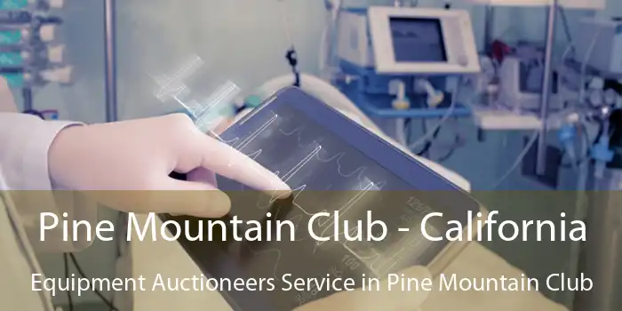 Pine Mountain Club - California Equipment Auctioneers Service in Pine Mountain Club