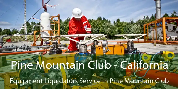 Pine Mountain Club - California Equipment Liquidators Service in Pine Mountain Club