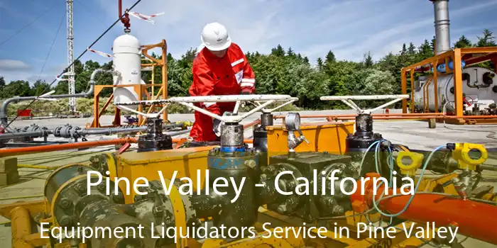 Pine Valley - California Equipment Liquidators Service in Pine Valley