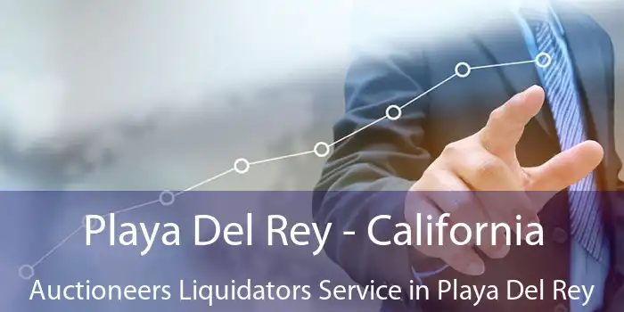 Playa Del Rey - California Auctioneers Liquidators Service in Playa Del Rey