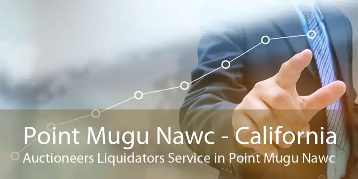 Point Mugu Nawc - California Auctioneers Liquidators Service in Point Mugu Nawc