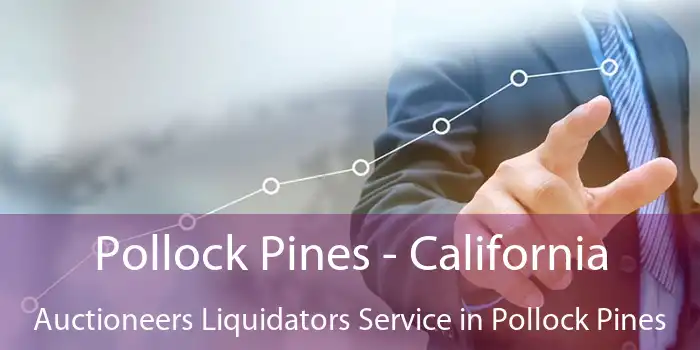 Pollock Pines - California Auctioneers Liquidators Service in Pollock Pines