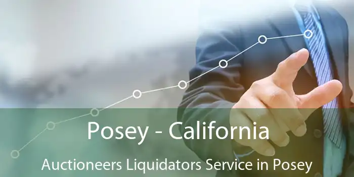 Posey - California Auctioneers Liquidators Service in Posey