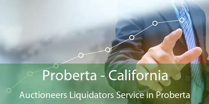 Proberta - California Auctioneers Liquidators Service in Proberta