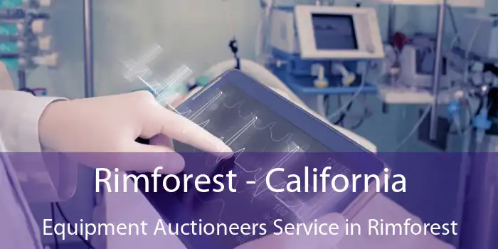 Rimforest - California Equipment Auctioneers Service in Rimforest