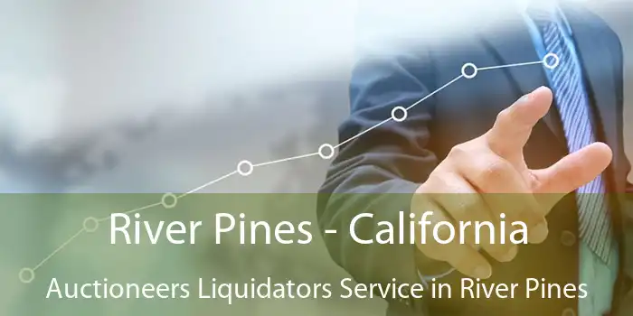 River Pines - California Auctioneers Liquidators Service in River Pines