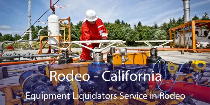 Rodeo - California Equipment Liquidators Service in Rodeo