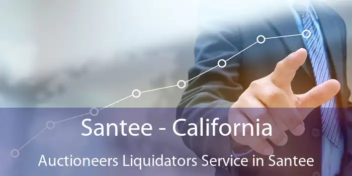 Santee - California Auctioneers Liquidators Service in Santee