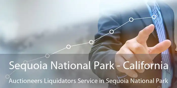 Sequoia National Park - California Auctioneers Liquidators Service in Sequoia National Park