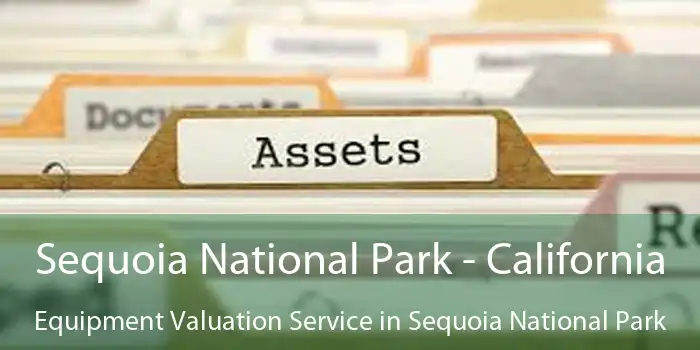 Sequoia National Park - California Equipment Valuation Service in Sequoia National Park