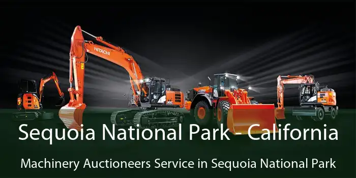 Sequoia National Park - California Machinery Auctioneers Service in Sequoia National Park